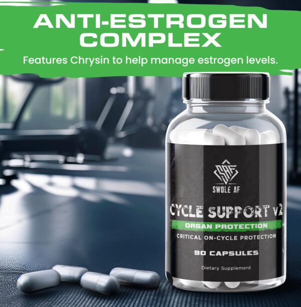 Cycle Support