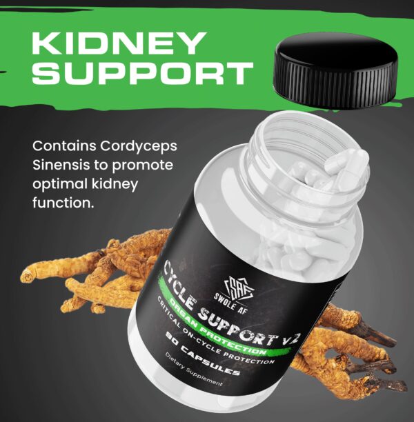 Cycle Support